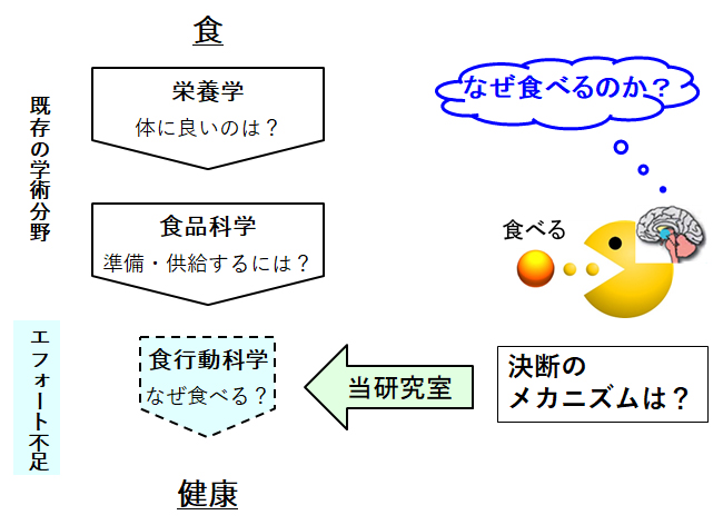 食から健康への道筋